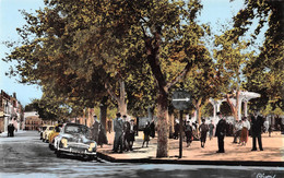 Algérie - SOUK-AHRAS - Place De L'Indépendance - Automobile - Souk Ahras