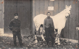 Carte-Photo Militaria - Soldats - Armée Suisse - Schweizer Armee - Dragons - Cheval Blanc  - Mobilisation Guerre 1914-18 - Other & Unclassified