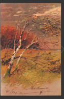 Winter Tree Birch PFB Edition  Embossed Edition Carte Postale Cpa Ak Postcard W6_547 - Arbres