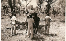 Mozambique ** & Postal, Ethnic, Fauna, Hunting Scene, Elephant, Elephantidae, Cambaco Edition (5555) - Douane