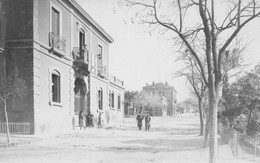 Algérie - SAÏDA - Une Rue - Carte-Photo Epreuve De L'éditeur - Saïda