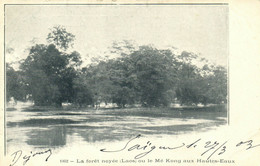 PC CPA LAOS, INDOCHINA, LA FORÉT NOYÉE OU LE MÉ KONG, (b23381) - Laos