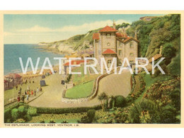 VENTNOR THE ESPLANADE LOOKING WEST OLD COLOUR POSTCARD ISLE OF WIGHT - Ventnor