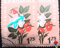 Errors Romania 1959 # MI 1822, Flowers, With Btoken "5", Leaf Move - Errors, Freaks & Oddities (EFO)