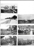 ANNEES 1930 - AMERIQUE DU SUD ANTILLES - LOT DE 7 PHOTOS - Orte