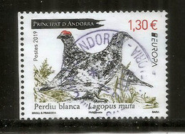 ANDORRA.  La Perdrix Des Neiges.(perdiz Nival) Europa 2019 ,   Oblitéré, 1 ère Qualité, Haute Faciale - Used Stamps