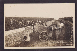 CPA [71] Saône Et Loire Vendanges Métier Carte Photo Circulé Voir Dos - Other & Unclassified