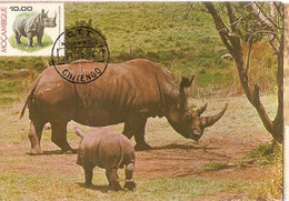 Mozambique & Maximum Card, Fauna, White Rhino And Baby, Rinoceronte,  Rhinocerontidae, Chitengo 1976 (24) - Rhinozeros