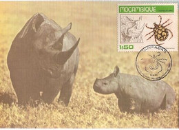 Mozambique & Maximum Card, Fauna, White Rhino And Baby, Diceros Bicornis, Pemba 1980 (78688) - Neushoorn