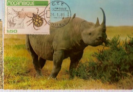 Mozambique & Maximum Card, Fauna, Rinoceronte Negro,  Diceros Bicornis, Chitengo 1980  (396) - Neushoorn