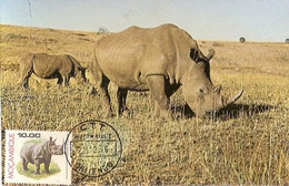 Mozambique & Maximum Card, Fauna, Rhinocerontidae, White Rhino,  Chitengo  1976 (60) - Neushoorn