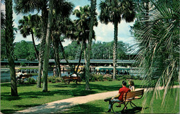 FLorida Silver Springs Landscaped Park Along Spring Basin - Silver Springs