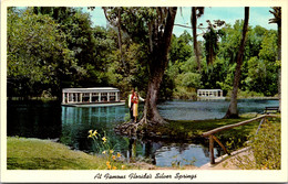Florida Silver Springs Glass Bottom Boats On Silver River - Silver Springs