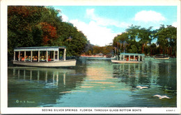 Florida Silver Springs Glass Bottom Boats Curteich - Silver Springs