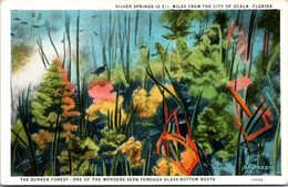 Florida Silver Springs The Sunken Forest Curteich - Silver Springs