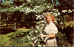 Florida Silver Springs White Dogwood Tree In Bloom - Silver Springs