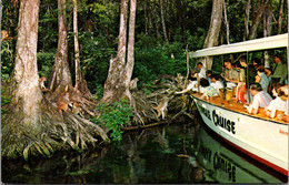 Florida Silver Springs Jungle Cruise Passengers Feeding Tribe Of Wild Tarzan Monkeys - Silver Springs