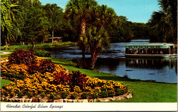 Florida Silver Springs Glass Bottom Boats On Silver River - Silver Springs