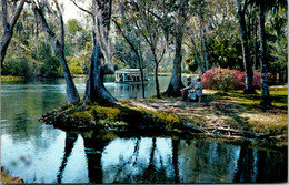 Florida Silver Springs Glass Bottom Boat On Silver River 1982 - Silver Springs