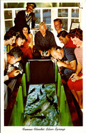 Florida Silver Springs Passengers Aboard A Glass Bottom Boat - Silver Springs