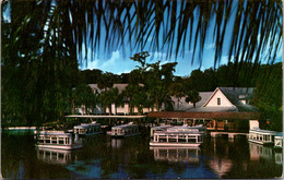 Florida Silver Springs Glass Bottom Boats - Silver Springs