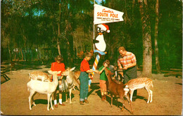 Florida Silver Springs Tommy Bartlett's Deer Ranch 1960 - Silver Springs