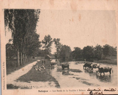 18 / SOLOGNE / LES BORDS DE LA SAULDRE A BRINON / PRECURSEUR 1903 - Brinon-sur-Sauldre