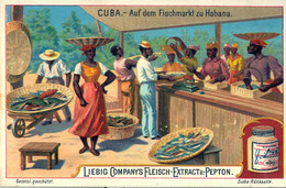 LIEBIG , CROMO ANTIGUO , CUBA - AUF DEM FISCHMARKT ZU HABANA , MERCADO , MARKET - Liebig