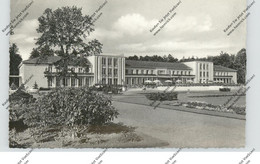 4792 BAD LIPPSPRINGE, Kurhaus, Kurhausterrasse, 1959 - Bad Lippspringe