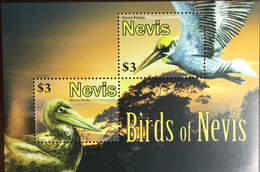 Nevis 2010 Birds Minisheet MNH - Unclassified