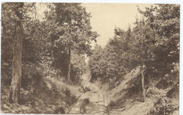 Kasterlee - Holle Weg - Goor - Uitg. A. Beersmans, Kasterlee - 1937 - Kasterlee