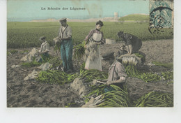 AGRICULTURE - La Récolte Des Légumes (poireaux ) - Cultures