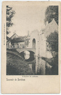 Bornem - Souvenir De Bornhem - L' Entrée Du Château - Ed. Nels Serie 43 No 4 - Bornem