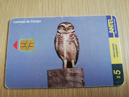 URUGUAY CHIPCARD  BIRD /VOGEL  $5 LECHUZA DE CAMPO      Nice Used Card    **4506** - Uruguay