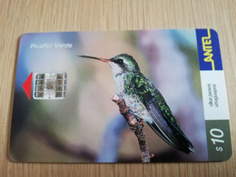 URUGUAY CHIPCARD  BIRD /VOGEL  $10  PICAFLOR VERDE       Nice Used Card    **4507** - Uruguay