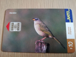 URUGUAY CHIPCARD  BIRD /VOGEL  $10  VERDON       Nice Used Card    **4510** - Uruguay
