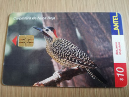 URUGUAY CHIPCARD  BIRD /VOGEL  $10  CARPINTERO DE NUCA ROJA        Nice Used Card    **4511** - Uruguay