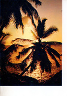 REF 538 : CPSM Seychelles Couché De Soleil Sun Set - Seychelles