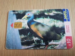 URUGUAY CHIPCARD  BIRD /VOGEL  $10 CHIRICOTE          Nice Used Card    **4515** - Uruguay