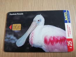 URUGUAY CHIPCARD  BIRD /VOGEL  $25  ESPATULA ROSADA         Nice Used Card    **4517** - Uruguay