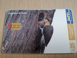 URUGUAY CHIPCARD  BIRD /VOGEL  $25  CARPENTERO DE CAMPO           Nice Used Card    **4520** - Uruguay