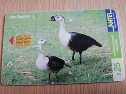 URUGUAY CHIPCARD  BIRD /VOGEL  $25  PATO CRESTUDO           Nice Used Card    **4523** - Uruguay