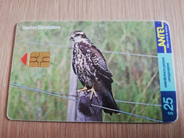 URUGUAY CHIPCARD  BIRD /VOGEL  $25  GAVILAN CARACOLERO          Nice Used Card    **4525** - Uruguay