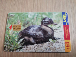 URUGUAY CHIPCARD  BIRD /VOGEL  $50  MACA             Nice Used Card    **4528** - Uruguay