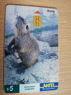 URUGUAY CHIPCARD  ANIMAL    $5  NUTRIA           Nice Used Card    **4549** - Uruguay