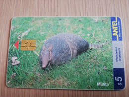 URUGUAY CHIPCARD  ANIMAL    $5  MULITA          Nice Used Card    **4550** - Uruguay
