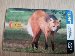 URUGUAY CHIPCARD  ANIMAL    $50   AGUARA-GUAZU           Nice Used Card    **4555** - Uruguay