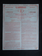 VP ASSURANCE 1946 (V2030) ASSURANCE "L'ABEILLE" (3 Vues) 39 De Lignestraat BRUSSEL - Banco & Caja De Ahorros