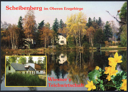 E6936 - TOP Scheibenberg Teichwirtschaft Wiesner - Scheibenberg