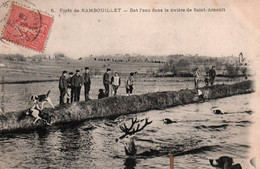 78 -CHASSE A COURRE /  SAINT ARNOULT - Forêt De Rambouillet - Bat L'eau Dans La Rivière De Saint Arnoult - Rambouillet